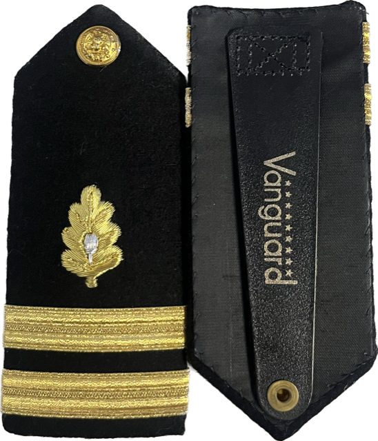 US NAVY Hard Shoulder Board - Medical Corps
