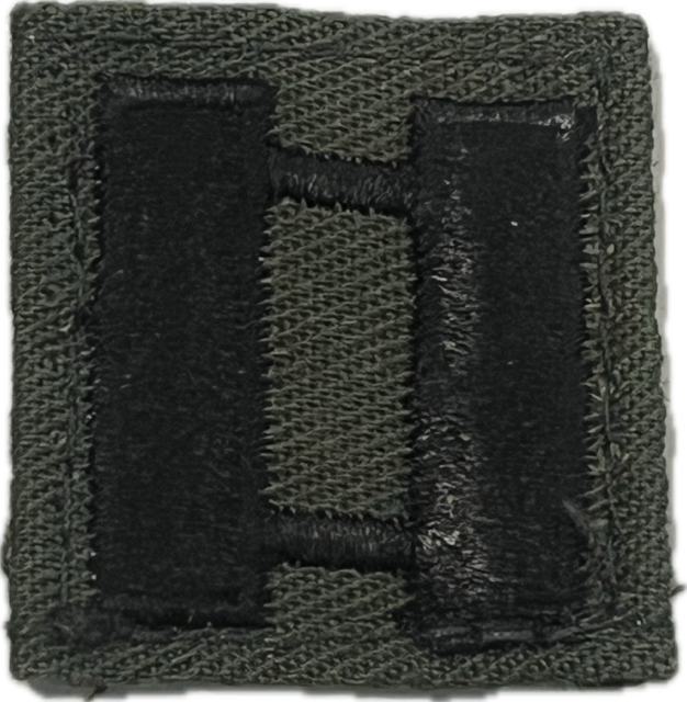 VINTAGE - Sew On Embroidered Collar Rank - Captain