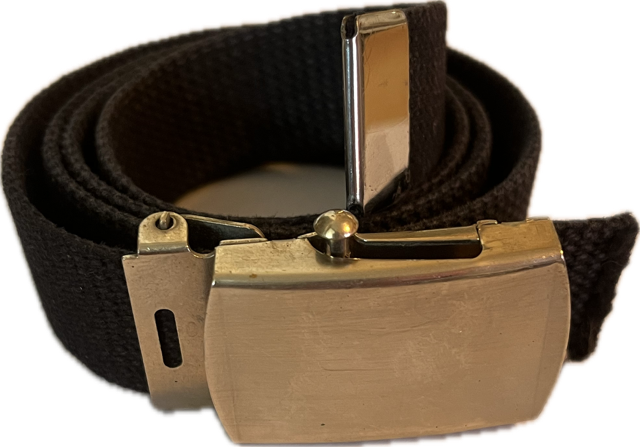 FAIR - Black w/ Silver Buckle Belt