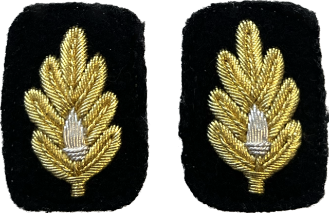 US NAVY Medical Corps Sleeve Device