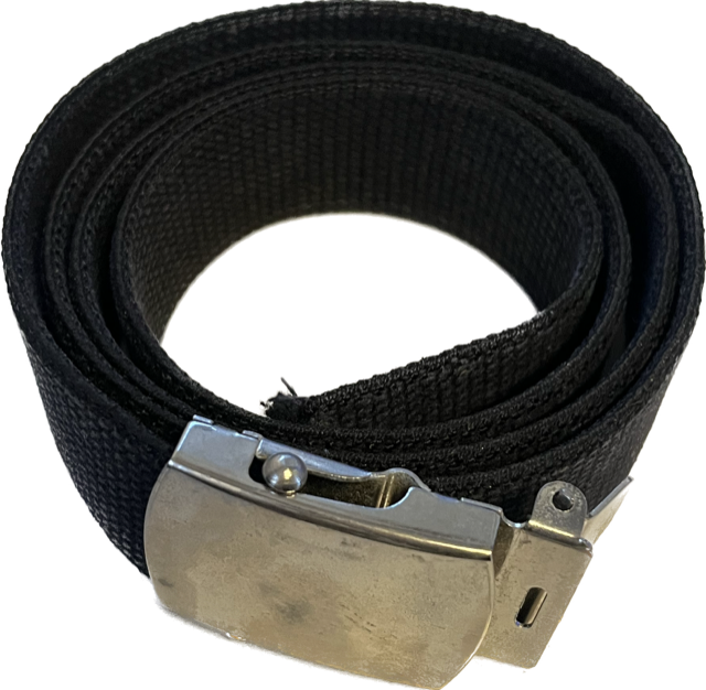 FAIR - Black w/ Silver Buckle Belt