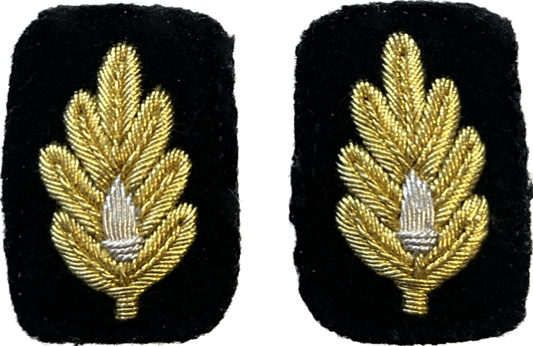 US NAVY Medical Corps Sleeve Device